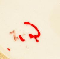 2 db virágos Gránit bögre, jelzettek, apró kopásokkal, m: 11,5 cm + Virágos porcelán só-borsszóró, k...