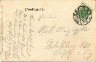 Wels, Gruss aus.. / greeting montage with zither