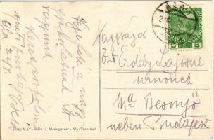 1913 Ala (Trentino, Südtirol), Via Nuova, I.R. Posta e Telegrafo / street view with shop and post an...