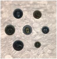 2008. 1Ft-100Ft (7xklf) darabos forgalmi sor "Búcsú az egy- és kétforintostól" dísztokos s...