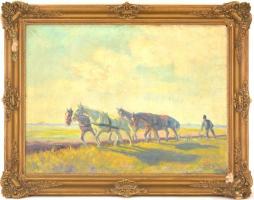 Kolozsváry Kamilló (1936 - 2008): Szántó paraszt. Olaj, vászon, jelzett, festék hibákkal, keretben, ...