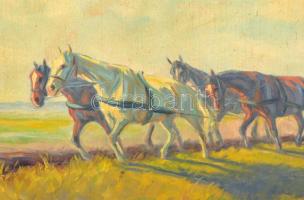 Kolozsváry Kamilló (1936 - 2008): Szántó paraszt. Olaj, vászon, jelzett, festék hibákkal, keretben, ...