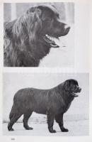 Nemzetközi kutyaenciklopédia. Összeáll.: Dr. Sárkány Pál. Bp., 1976, Terra. Kiadói egészvászon-kötés...