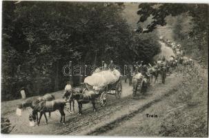 Train. Trén (málhás szekerek menetoszlopa és legénysége) pihenő, lovak etetés alatt / WWI Austro-Hungarian K.u.K. packed carriages on a break, soldiers feeding the horses