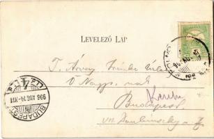 1906 Honvéd gyakorló tér Jászberényben. Takáts Herman kiadása / Hungarian military training field in...