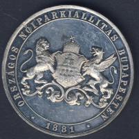 1881. "Országos Nőiparkiállítás Budapesten-Koburg herczegné" Zn emlékérem T:P