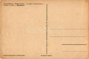 Megbecstelenítés. Fehérterror Magyarországon. Verlag der Arbeiter-Buchhandlung / White Terror in Hun...