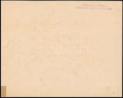 cca 1925 Kerny István (1879-1963) budapesti fotóművész hagyatékából, pecséttel jelzett, vintage fotó...