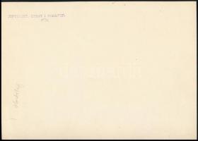 cca 1936 Hortobágyi ménes, vintage fotó Kerny István (1879-1963) budapesti fotóművész hagyatékából, ...