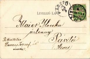 1908 Budapest XX. Pestszenterzsébet, Pesterzsébet, Erzsébetfalva; villamos vasútállomás, gyár a hátt...