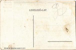 Budapest II. Hűvösvölgy, Auguszt-Pavillon cukrászda, alsó terasz. Hidegkúti út 22. (kopott sarkak / ...