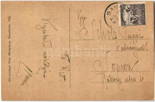 1921 Savanyúkút, Sauerbrunn; gyógypark / Kurpark / spa park