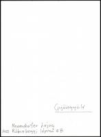 cca 1988 Menesdorfer Lajos (1941-2005) budapesti fotóművész hagyatékából, feliratozott, vintage fotó...