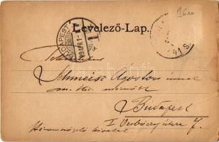 1899 (Vorläufer!) Nyustya-Likér, Hnústa-Likier; vasgyár, vasútállomás / iron works, railway station....