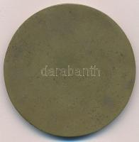 Rápolti Lajos (1880-1954) 1918. "A közös munkában egyesült erővel 1918" Br emlékplakett (5...