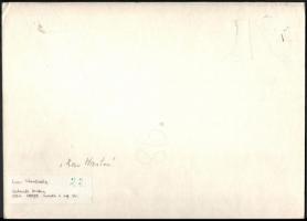 cca 1975 Schmidt Andrea szegedi fotóművész feliratozott, vintage fotóművészeti alkotása, kasírozva (...