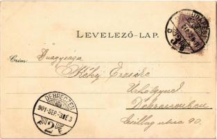 1901 Budapest, Országház, Vígszínház, Népszínház, Igazságügyi palota. Ottmar Zieher Art Nouveau, flo...