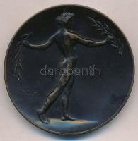 DN "Goethe" kétoldalas Br emlékérem, peremén 32-es sorszámmal. Szign.: W.O. Prack (55mm) T...