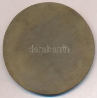 1927. "A Magyar Állami Gyermekvédelem 25. évfordulójára 1902-1927" Br emlékérem (65mm) T:1...