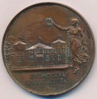 1908. Zsombolyai iparkiállítás / Az érdem jutalmául kétoldalas Br plakett (50mm) T:2 patina, több ph.