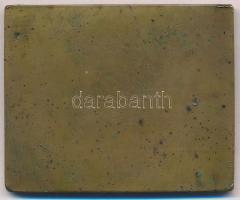 Yrjö Liipola (1881-1971) 1910. "Maywald Józsefnek hálás tanítványai" Br plakett (59x48mm) ...