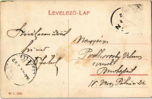 1908 Zirc, Királyi Járásbíróság. W.L. 2795