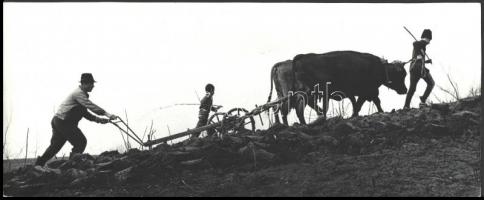 1980 Erőss Péter erdélyi fotóművész pecséttel jelzett, vintage fotóművészeti alkotása (Szántás), 16x39 cm