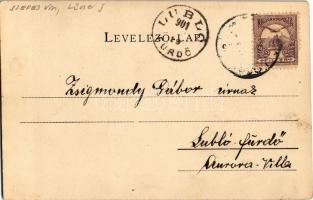 1901 Lőcse, Levoca; Honvéd szobor. 1848-49-es magyar szabadságharc és forradalom emlékére. Kiadja Sc...