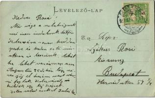 Szászrégen, Reghin; Királyi Járásbíróság este / Königl. Bezirksgericht. Rudolf Burghardt / county co...