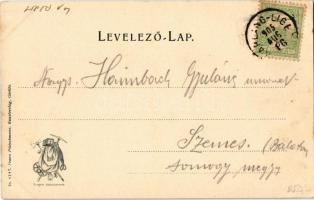 1905 Tátra, Magas Tátra, Vysoké Tatry; Csorba-tó, menedékház, hegycsúcsok. Franz Pietschmann No. 171...