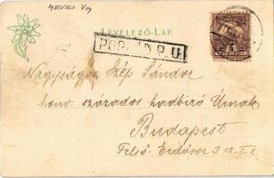 1901 Tátra, Magas Tátra, Vysoké Tatry; Matlárháza és a Lomnici csúcs / Matlarenau mit der Lomnitzer ...