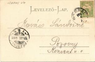 1906 Tátra, Magas Tátra, Vysoké Tatry; Husz park és Tátra (Központi Kárpátok) / Huszpark und Tatra /...