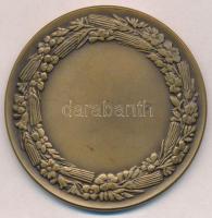 Berán Lajos (1882-1943) 1934. "TESZ-Nemzeti Munkahét"  Br emlékérem (60,5mm) T:1-