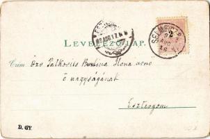 1898 (Vorläufer!) Selmecbánya, Schemnitz, Banská Stiavnica; Szentháromság szobor, Óvár, Szitnya, Kál...