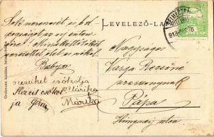 1913 Selmecbánya, Schemnitz, Banská Stiavnica; Főiskolai Ifjúsági kör. Grohmann kiadása / youth club...