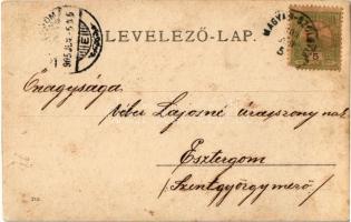 1905 Szőgyén, Szölgyén, Svodín; kisgyermek / child. photo (fl)