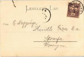 1901 Tátra, Magas Tátra, Vysoké Tatry; Csorba tó, Szentyványi villa / Csorber See / Strbské Pleso / ...