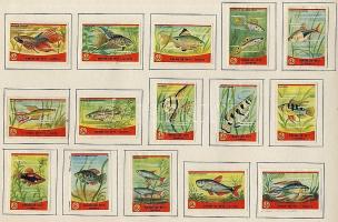 1128 darabos holland gyufacímke gyűjtemény szépen rendszerezve