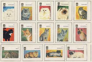 1128 darabos holland gyufacímke gyűjtemény szépen rendszerezve