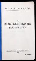 Dr. Illyefalvi I. Lajos: Budapest székefőváros napjainkban és a világháború előtt 1912-1931. (Első k...