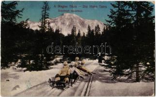 1918 Tátra, Magas-Tátra, Vysoké Tatry; hat személyes kormányozható bob (bobsleigh) menetben / winter sport, 6-men controllable bobsled (fa)