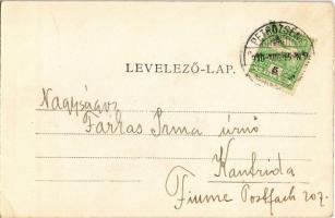 1910 Pertozsény, Petrosani (?); Villa Raffaila. Weisz testvérek kiadása / villa (EK)