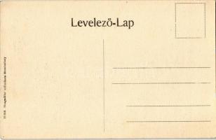 Murány, Murányalja, Murán; Murány vára. Steegmüller intézete kiadása / Muransky hrad / castle. Art N...