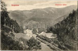 Koritnyica, Korytnica; Általános tájkép. Gutkaisz fényképész / general view