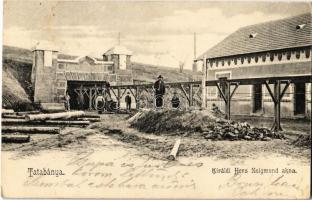 1904 Tatabánya, Királdi Herz Zsigmond akna, ipari vasút