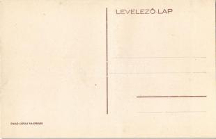 Nedec, Niedzica (mai Lengyelország, Magas-Tátra); vár. Divald Károly fia / castle