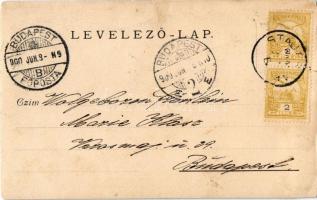 1900 Stájerlak, Steierlak, Stájerlakanina, Steierdorf, Anina; piaci árusok népviseletben / market ve...