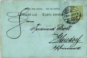 1898 Károlyváros, Karlovca, Karlovac; Zorin Dom, Kuca I. Sagana, Grad Karlovac / színház, népviselet...