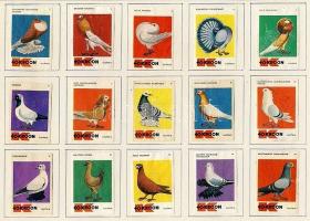 453 darabos vegyes gyufacímke gyűjtemény, benne arab, litván, NSZK, török, görög, svéd, holland, cse...