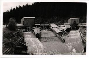 Kőrösmező, Jaszinya, Jasina, Yasinia (Máramaros); faúsztató / log rafting. photo